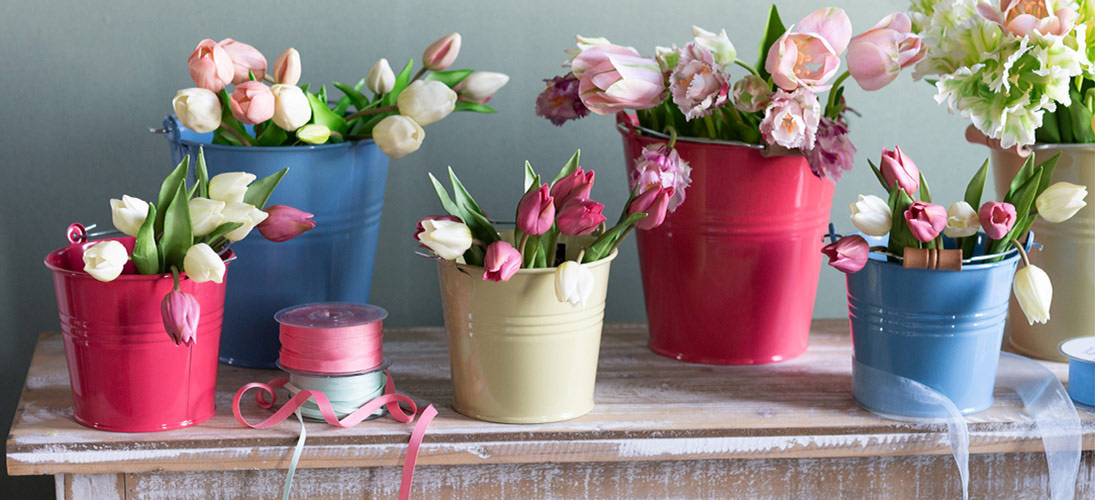 Puutarhan kukka ja niitty kukka