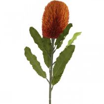 kohteita Keinotekoinen kukka Banksia oranssi syksyn koristelu hautajaiset kukka 64cm