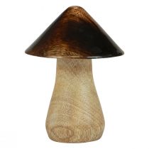 kohteita Koristeellinen sienisieni puinen luonnonruskea kiiltoefekti Ø7,5cm K10cm