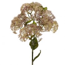 kohteita Koristeellinen haara sedum vaaleanpunainen 58cm