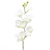 kohteita Orchid Phalaenopsis keinotekoinen 6 kukkaa valkoinen kerma 70cm