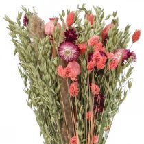 kohteita Kimppu kuivattuja kukkia olkikukkia viljaunikon kapseli Phalaris sara 55cm