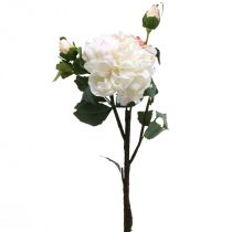 kohteita Valkoiset ruusut tekokukat ruusu suuret kolmella silmulla 57cm