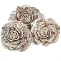Setrikäpyjä leikattu kuin ruusu setri ruusu 4-6cm valkoinen/luonnollinen 50kpl