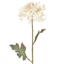 kohteita Chrysanthemum Keinotekoiset koristekukat Cream L72cm 2kpl