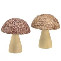 kohteita Puiset sienet koristesienet pöytäkoristeet syksyn ruskea luonnollinen 5×6cm 8kpl