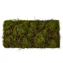 Keinotekoinen Moss Suuri sammalmatto Ruskea Vihreä 100×50cm
