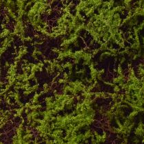 kohteita Keinotekoinen Moss Suuri sammalmatto Ruskea Vihreä 100×50cm