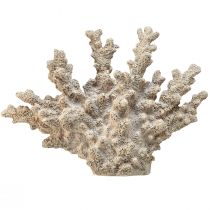 kohteita Yksityiskohtainen korallikoristelu polyresiinistä harmaa - 26 cm - merellistä eleganssia kotiisi