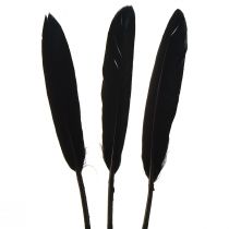 kohteita Mustat höyhenet Koristeelliset Hanhenhöyhenet Mustat 11-14cm 180kpl