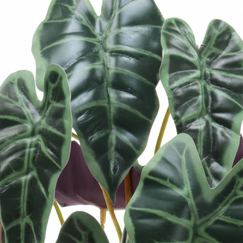 kohteita Alocasia arrow lehtivihreä, violetti keinokasvi H48cm