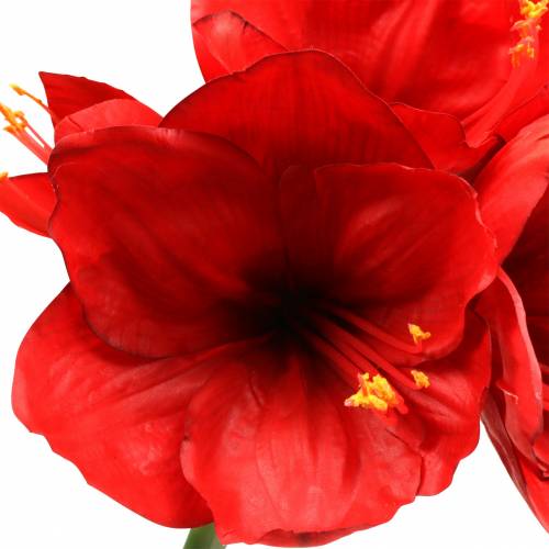 kohteita Amaryllis punainen 75cm