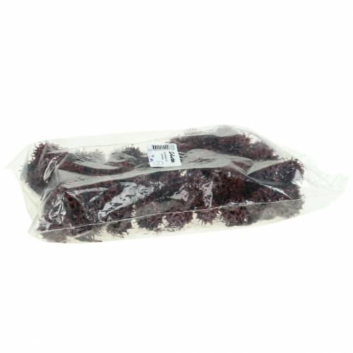 kohteita Punaiset sweetgum-kävyt kuorrutetut 250g