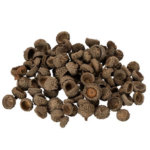 kohteita Luonnonväriset tammenterhojen hatut, koristeelliset kulhot syksyyn ja adventtiin, 2 cm, 300 g