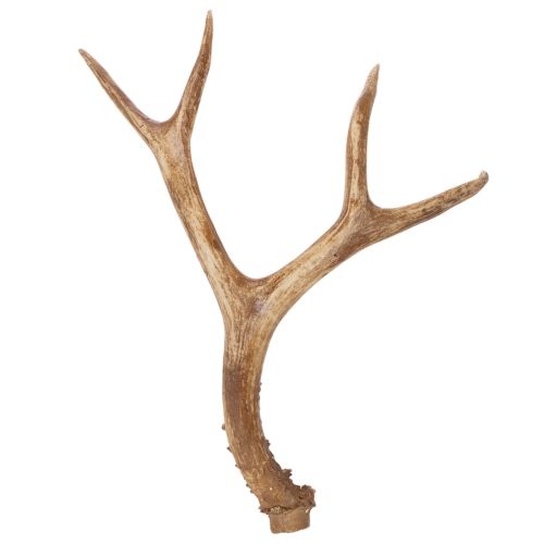 kohteita Keinotekoiset sarvet, elävän näköiset, maalaismaiset, 32 cm