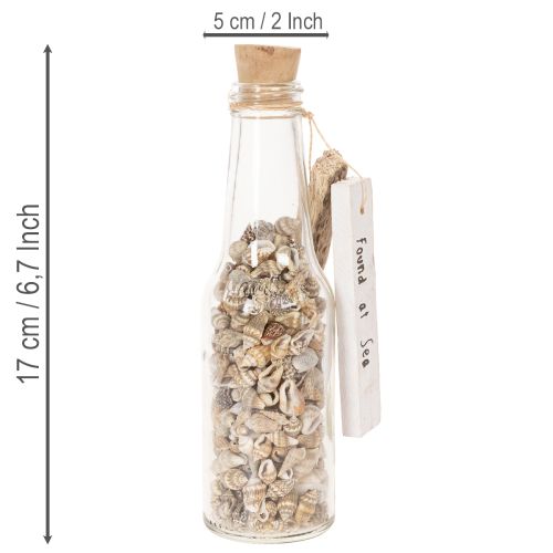 kohteita Lasipullokoriste simpukoilla ja riipuksella, merellinen pöytäkoriste, 17 cm, 2 kpl