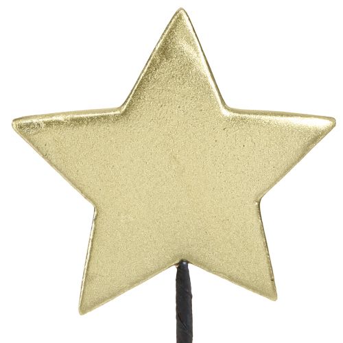 Floristik24 Golden Stars koriste kukkatulpat Ø7cm 2. valinta 24 kpl