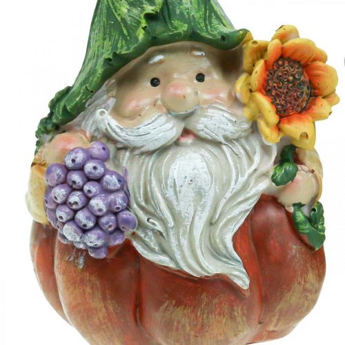 Floristik24 Syksytonttu kurpitsakoristelu gnomefiguuri lajitelma H11,5cm 2kpl