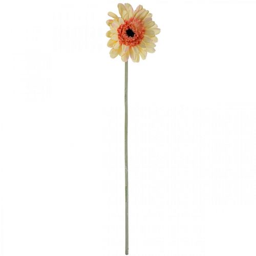 kohteita Tekogerbera kukka tekokukka aprikoosi Ø11cm L50cm