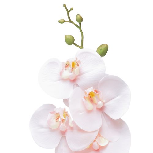 kohteita Keinotekoinen orkidea Pinkki Phalaenopsis Real Touch 83cm