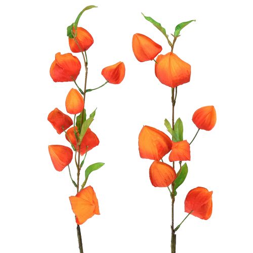 Floristik24 Tekokukka oranssi lyhtykukka Physalis koristeelliset silkkikukat 93cm 2 kpl