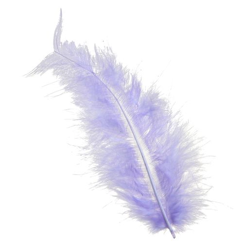 Purple Feathers Pörröiset askartelutarvikkeet Kevät 5-10cm 20g