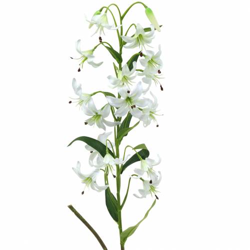 Lilja valkoinen 82cm