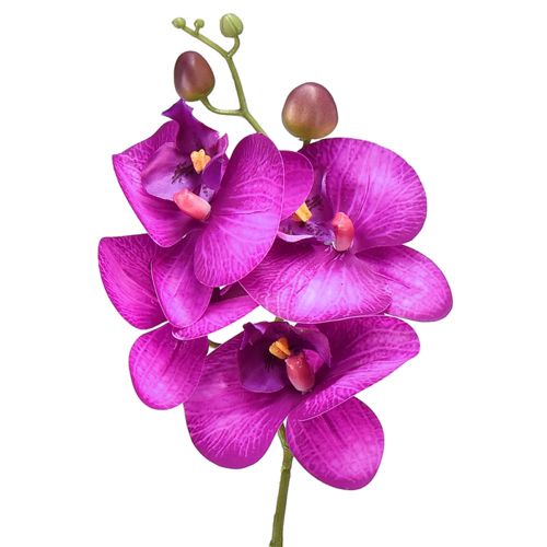 Floristik24 Orchid Artificial Phalaenopsis 4 kukkaa Fuksia 72cm