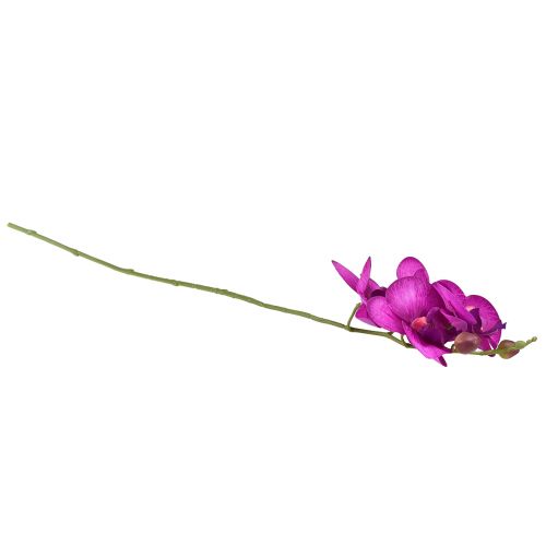 kohteita Orchid Artificial Phalaenopsis 4 kukkaa Fuksia 72cm
