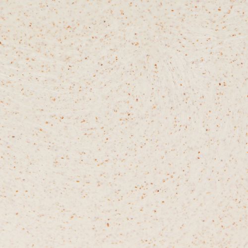 kohteita Kasvivene kasvikulho beige kirjava L38,5cm 3kpl