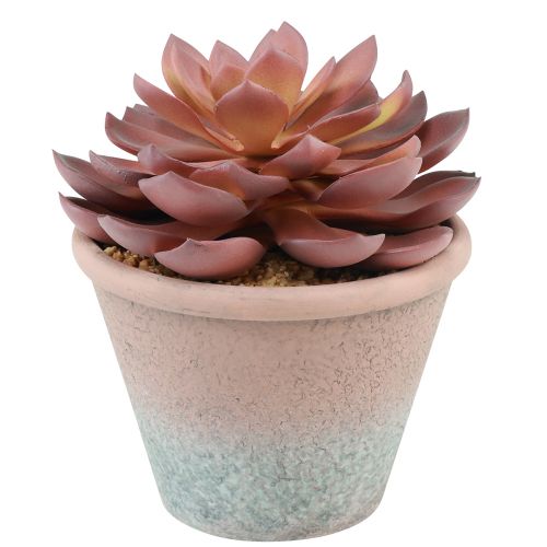 kohteita Mehikasvi ruukussa Echeveria keinopunainen vintage Ø15cm K16cm