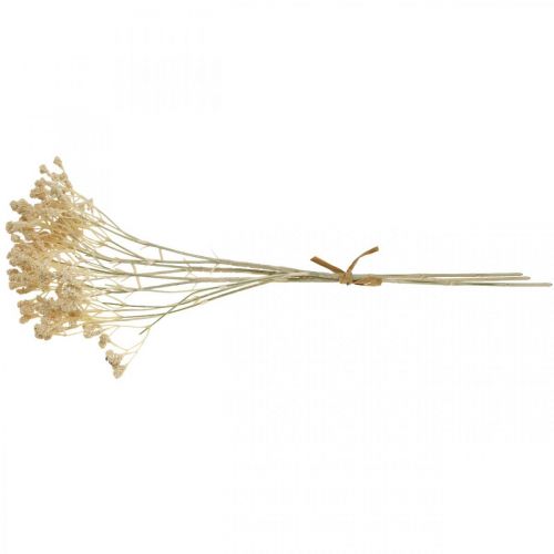 kohteita Keinotekoinen gypsophila cream gypsophila 46cm nippu 3 kpl