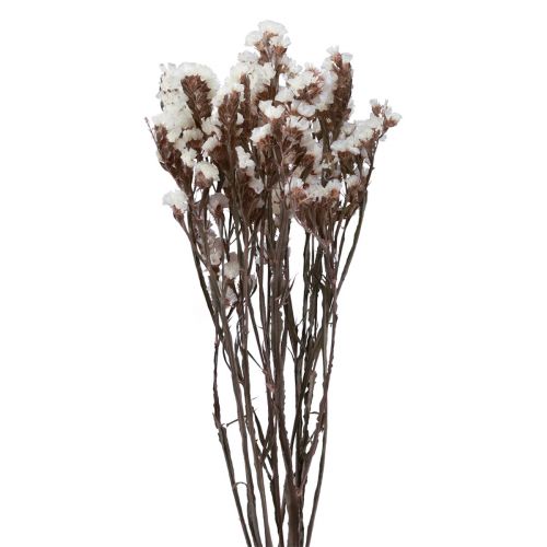 Floristik24 Beach Lilac White Limonium kuivatut kukat 60cm 35g