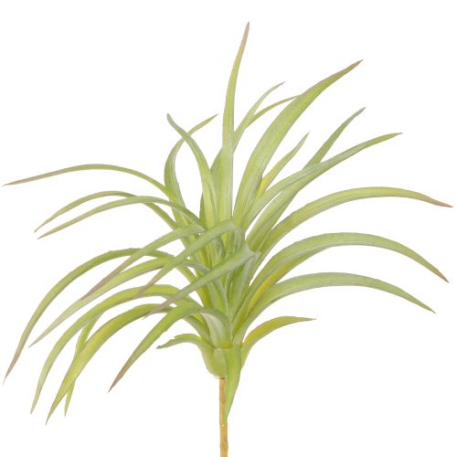 Tillandsia Green Keinotekoiset kasvit kepillä Ø17cm 3kpl