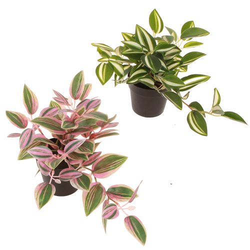 Tradescantia Keinotekoinen vihreä kasvi ruukussa K19,5cm 2kpl