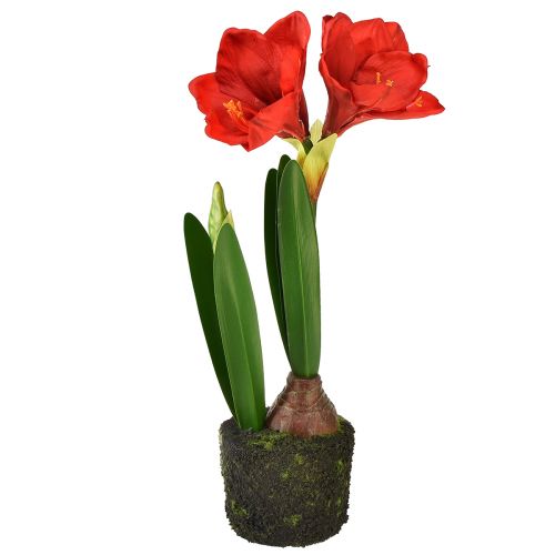 kohteita Amaryllis keinotekoisissa sammalpalloissa - kirkkaan punaiset kukat, 49 cm - tyylikäs ja luonnollinen huoneen sisustus