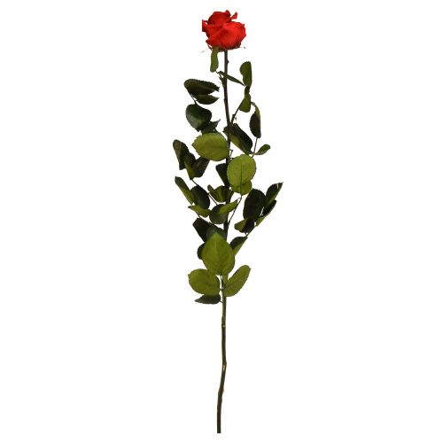 Floristik24 Amorosa Red Infinity Rose Säilötyt lehdet L54cm