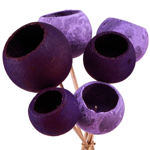 kohteita Kellokuppi kepissä Eksoottinen kuivakoristelu Purple Berry 44cm 15kpl