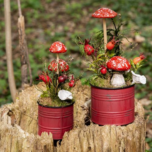 Floristik24 Myrkkysienet kepillä, punainen, 5,5cm, 6 kpl setti - koristeellisia syyssieniä puutarhaan ja kotiin
