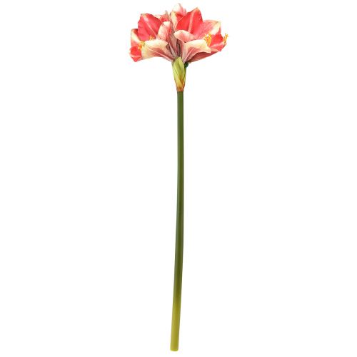 kohteita Keinotekoinen amaryllis vaaleanpunainen ja kermainen – suuri varsikukka 76 cm