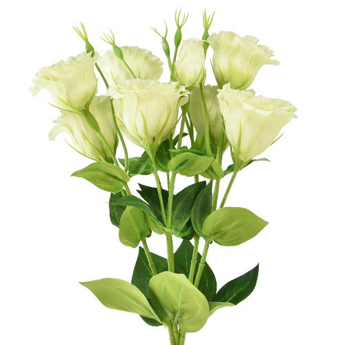 Floristik24 Tekokukat Eustoma Lisianthus keltavihreä 52cm 5kpl