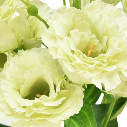 kohteita Tekokukat Eustoma Lisianthus keltavihreä 52cm 5kpl