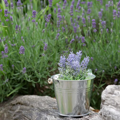 kohteita Mini laventeli ruukussa tekokasvi laventeli koristelu H16cm