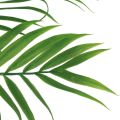 Floristik24 Keinotekoiset palmunlehdet Keinotekoiset viherkasvit 56cm 3kpl