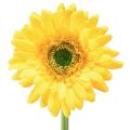Floristik24 Tekokukat Gerbera Sun Yellow Garden Flower 47cm