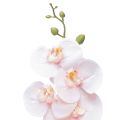 Floristik24 Keinotekoinen orkidea Pinkki Phalaenopsis Real Touch 83cm