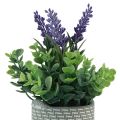 Floristik24 Keinotekoinen laventeli ruukussa keraamisessa purppuranvihreässä H22cm