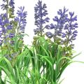 Floristik24 Keinotekoista laventelia koristeellisia laventelin oksia Pick Purple 33cm