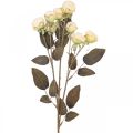 Floristik24 Keinotekoiset ruusut kuihtuneet Drylook 9 terälehteä kerma 69cm