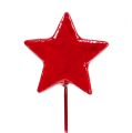 Floristik24 Tähdet langalla koristeluun 5cm Punainen 48kpl